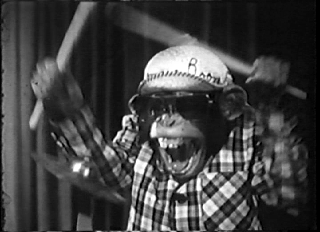 How a Chimpanzee Inspired Me To Quit My Job and Start Brothers in Beat (True Story) 1 chimp drummer